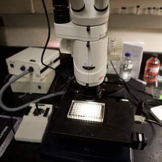 High-Tech Microscopy at UCLA's Nanotech Lab