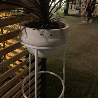 Potted Plant on Stand
