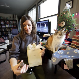 Cat Supervises Christmas Gift Unwrapping at Home