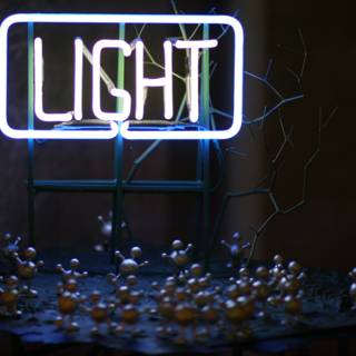 Bright and Bold Light Sign