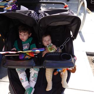 Adventures in the Stroller Lane