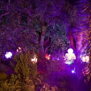 Enchanted Nightfall in the Garden