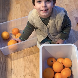 Young Boy Sorting Oranges on Kitchen Floor