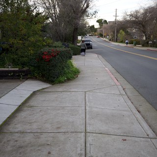 Residential Suburban Street with Winding Sidewalk at Dusk