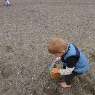 Toddler Discovers Joy of Beach Sand Play