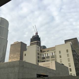 A Bird's Eye View of the LA Metropolis