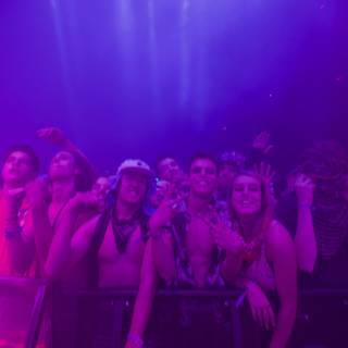 Purple Haze Concert Madness