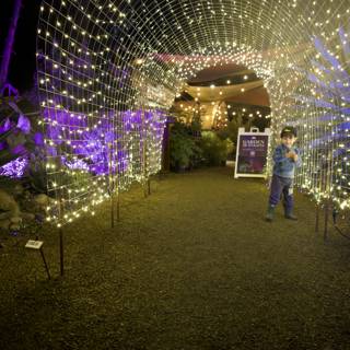 Enchanted Pathway at Garden of D'Lights