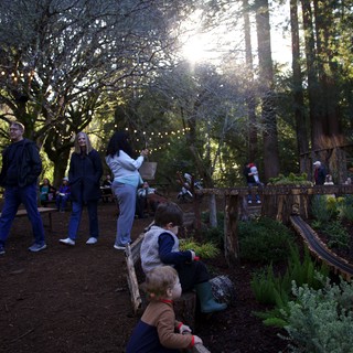 Garden railway attraction or botanical garden