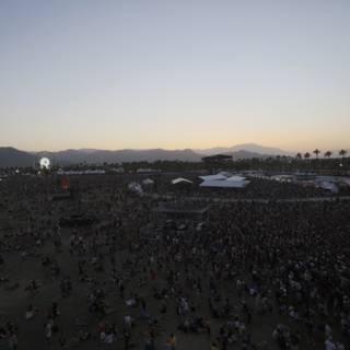 Coachella 2014: Music and Metropolis