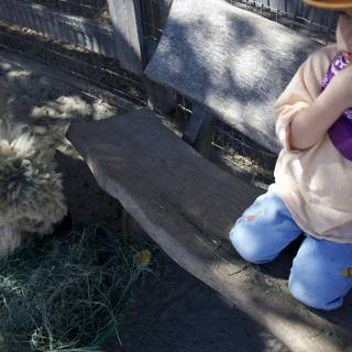 Little Rancher in Carmel Valley