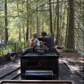 Timeless Journey through Tilden Woods