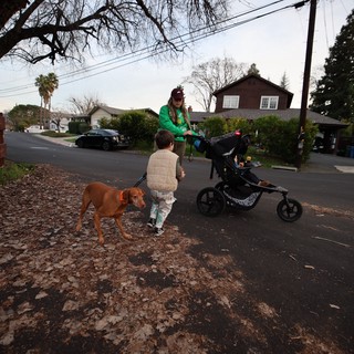 Family Evening Walk in Suburban Neighborhood