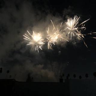 Fireworks Spectacular in the City of Angels