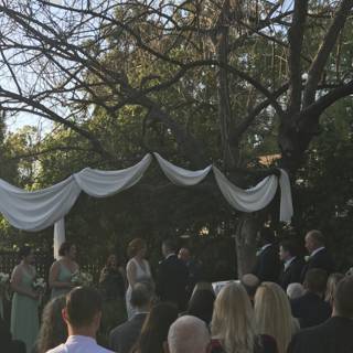 A Beautiful Park Wedding
