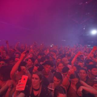 Urban Nightlife: 21-Person Crowd at Coachella Concert