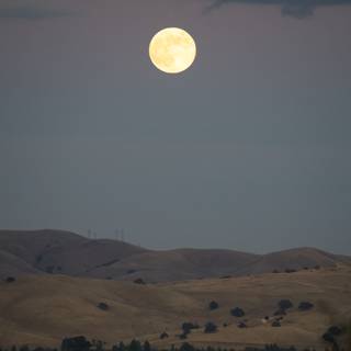 Walnut Creek's Celestial Glow