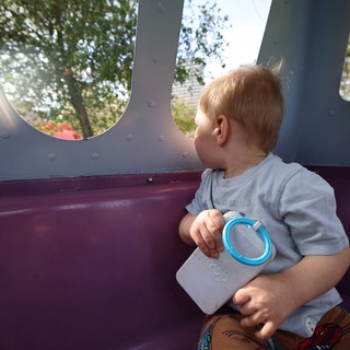 Toddler Gazing Out Playground Structure Window