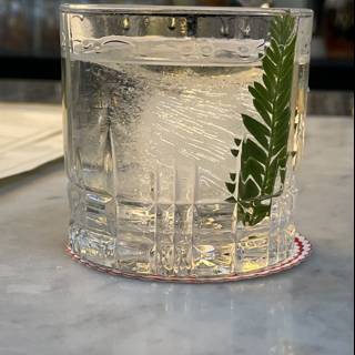 Fern-infused Refreshment