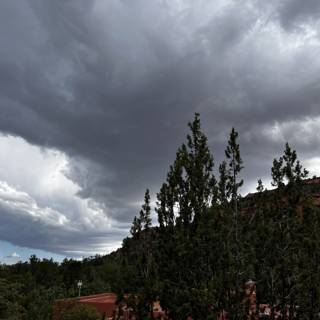 Stormy Skies and Majestic Conifers in Sedona