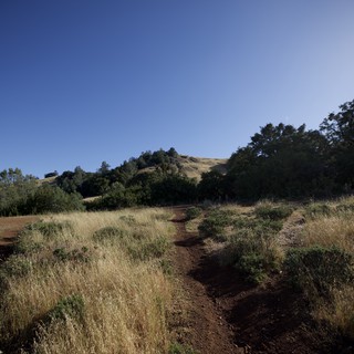 Winding Dirt Trail Through Golden Hills of Mt. Diablo