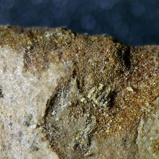 Extreme Macro: Fibrous Texture of Compressed Organic Material