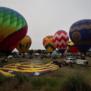 Colorful Hot Air Balloons Fill the Morning Sky