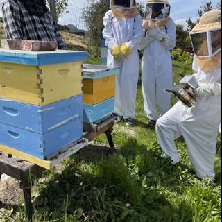 Beekeeping in Protective Suits