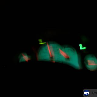 Glowing Green Traffic Light