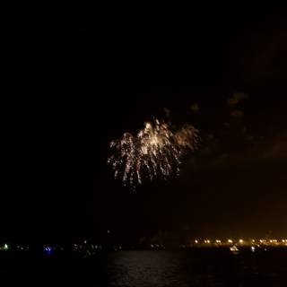 Fireworks Extravaganza by the Water