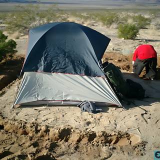 Setting Up Camp in the Desert