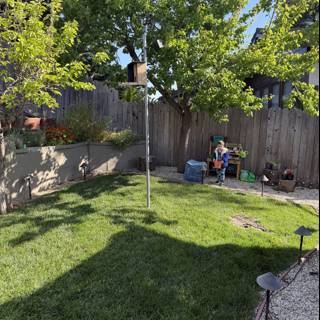 Spring Morning in the Backyard
