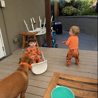 September Porch Shenanigans