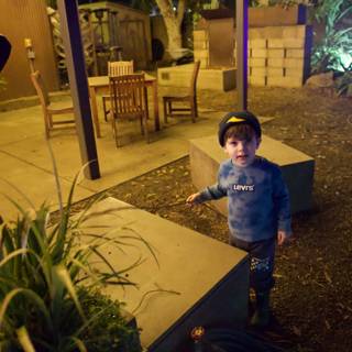 Evening Curiosity in the Garden of D’Lights