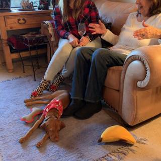 Cozy Christmas with Rhoda, Lori, and Dog