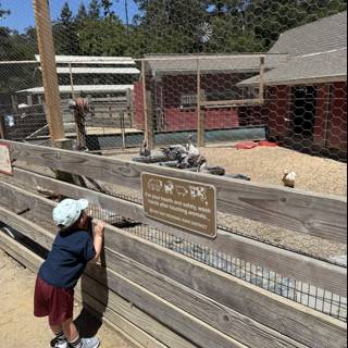 Curious Minds at the Zoo