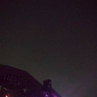 Nocturnal Silhouettes at Coachella 2024
