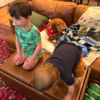 Cozy Family Morning with Kids, Dogs, and Pajamas