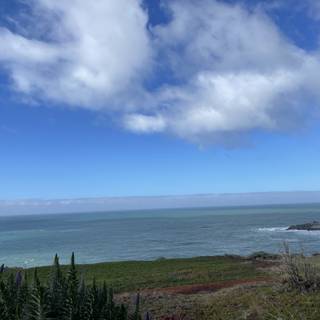 A Majestic View of the Ocean from a Hill in Jenner, California