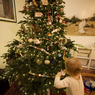 Toddler Admiring Decorated Christmas Tree at Home