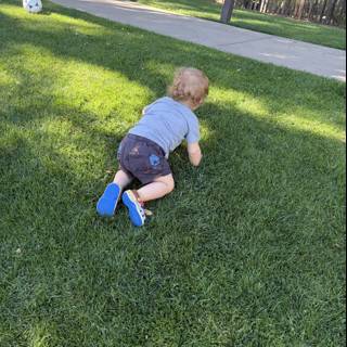 Afternoon Playtime in Carmel