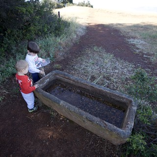 Two Young Boys Exploring a Stone Water Trough