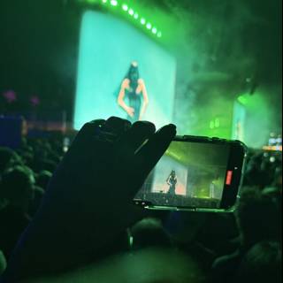 Capturing the Vibes