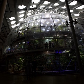 Illuminated Biodome Ecosystem in Modern Architecture