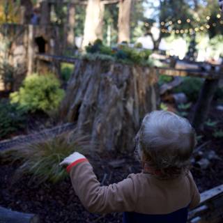 Curious Discoveries at Thistlewyck