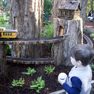 Garden railway exhibition or botanical garden