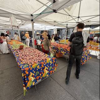 Vibrant Scenes at the San Francisco Farmer's Market