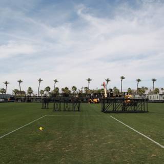 Tennis Heaven Caption: A sunny day on the grass courts at Coachella, captured during a break between concerts.