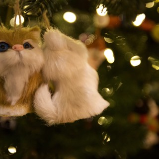 Fluffy White Cat Christmas Tree Ornament