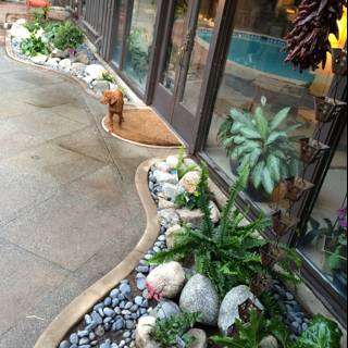 Serene Patio with Foliage and Rocks